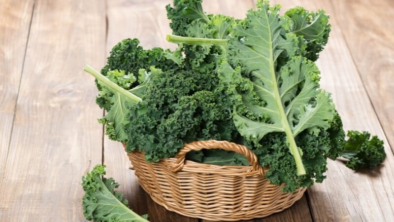 Cải xoăn cung cấp lượng lớn chống oxy hóa và beta carotene