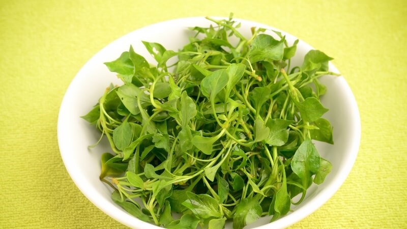 Cải xoong là loại rau cực kỳ dinh dưỡng và chứa nhiều beta carotene
