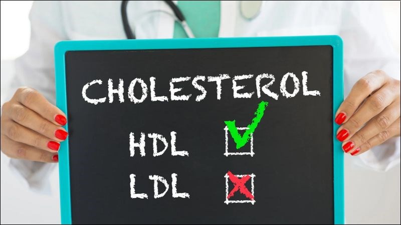 Dùng atiso vào chế độ dinh dưỡng có thể giảm cholesterol có hại và tăng HDL có lợi