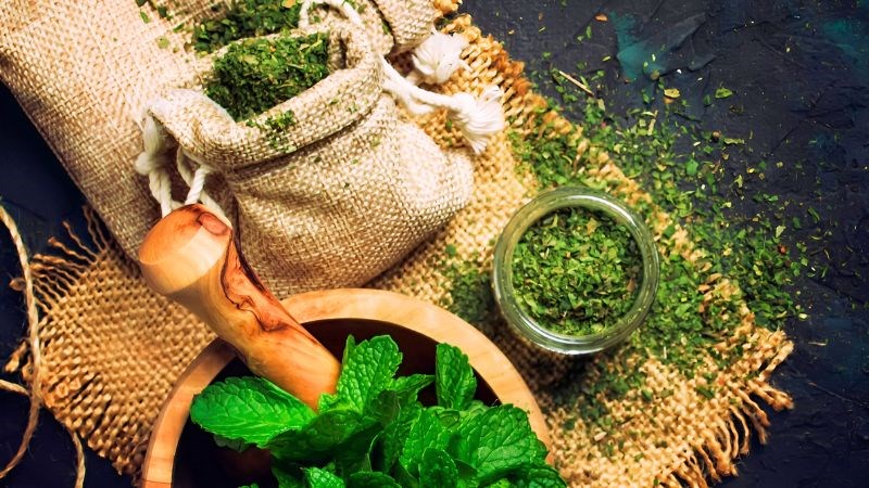Đông y thường dùng lá bạc hà tươi hoặc khô để hãm nước uống chữa bệnh