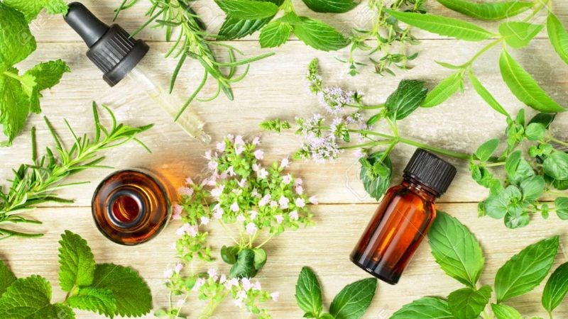Hiện chưa có khuyến cáo cụ thể về liều lượng sử dụng bạc hà