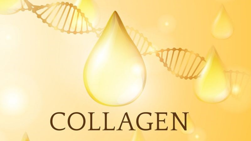 Chiết xuất atiso giúp cải thiện quá trình chuyển hóa collagen trên da