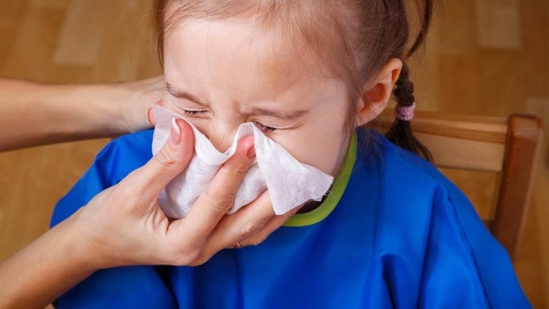 Bạc hà chứa axit rosmarinic giúp giảm các triệu chứng dị ứng theo mùa