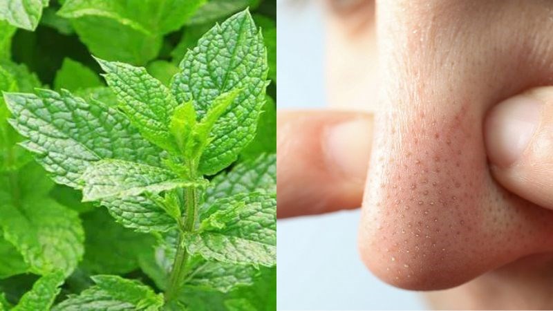 Bạc hà giúp loại bỏ mụn đầu đen và se khít lỗ chân lông