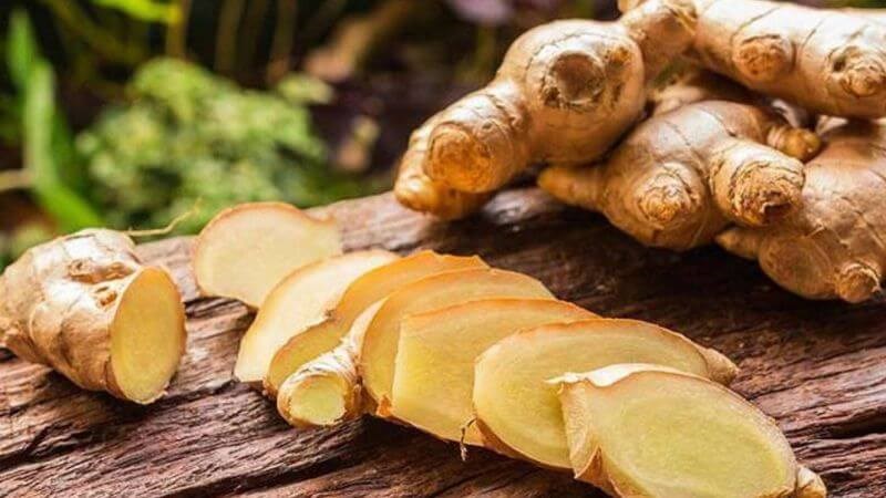 Gừng có tên khoa học là Zingiber officinale (Willd.) Roscoe thuộc họ Gừng