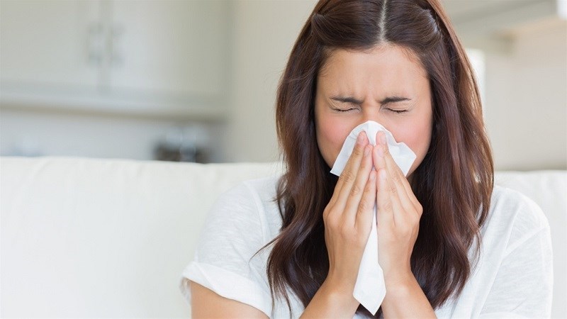 Bạc hà hữu ích cho những người bị ho khi cảm lạnh và cảm cúm