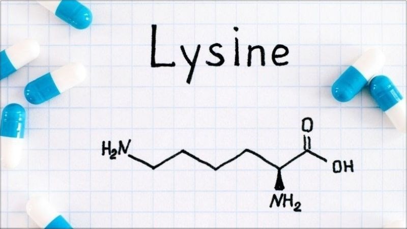 Lysine được xem là một acid amin thiết yếu của cơ thể