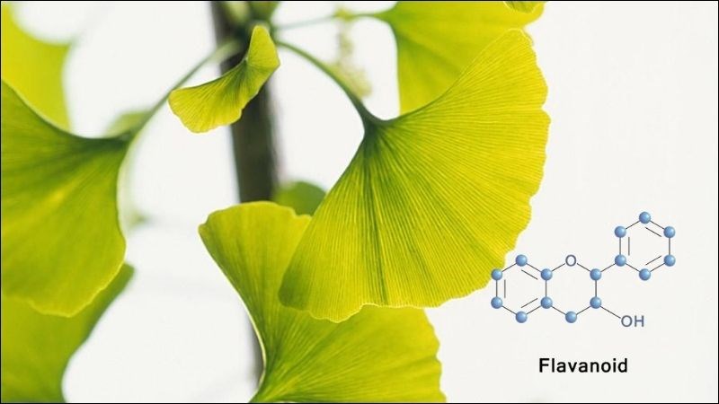 Flavonoid giúp giảm nguy cơ mắc các bệnh mãn tính