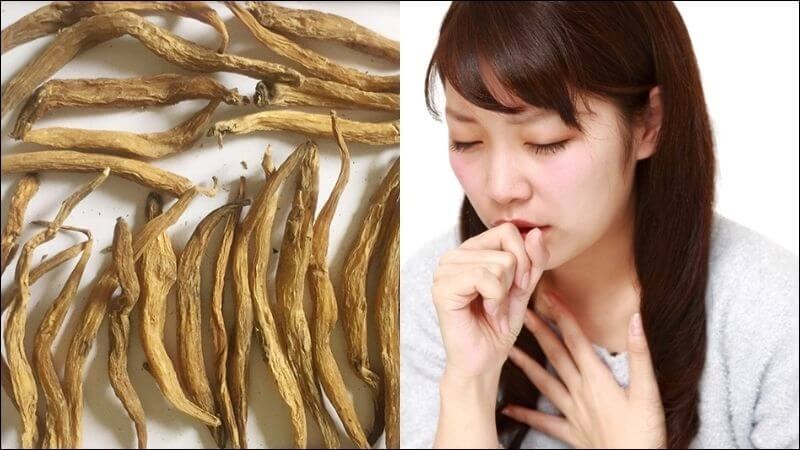 Bách bộ hỗ trợ trị ho dữ dội