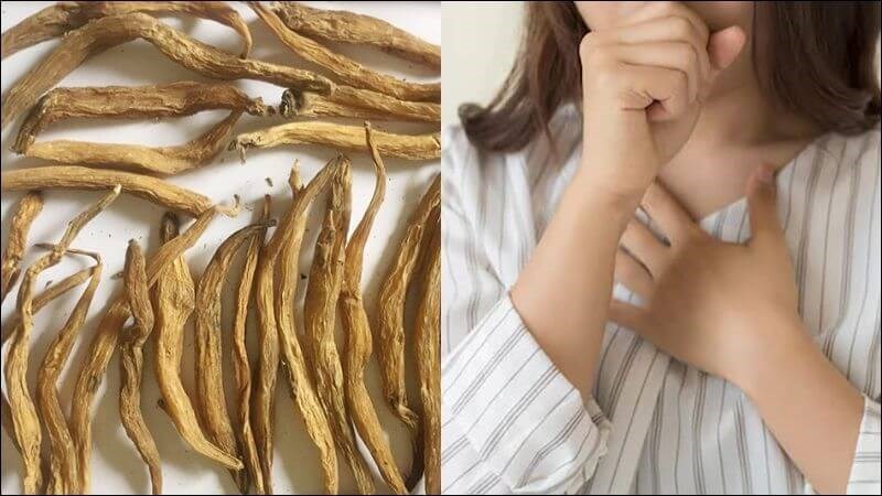 Bài thuốc kết hợp bách bộ, kinh giới, bạch tiền, cát cánh giúp chữa ho do cảm mạo, ngứa họng, đờm ít