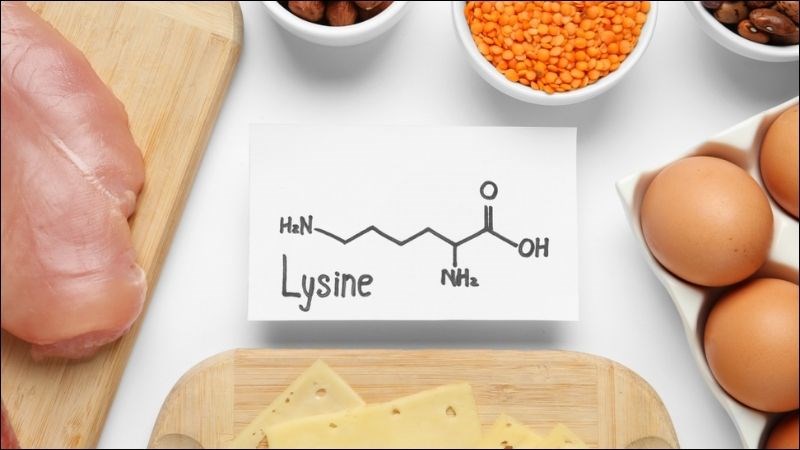 Lysine đóng vai trò quan trọng trong việc xây dựng mô cơ, duy trì sức khỏe xương