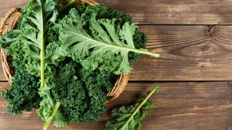 Trong cải xoăn chứa một lượng magie dồi dào, giúp sản xuất ra acid hyaluronic Trong cải xoăn chứa một lượng magie dồi dào, giúp sản xuất ra acid hyaluronic