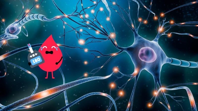 Đường trong máu cao có thể làm tổn thương dây thần kinh 