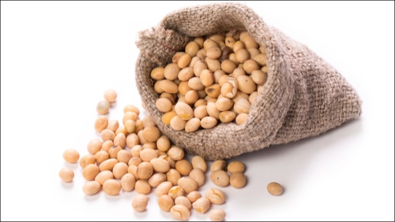 Đậu nành chứa protein và canxi cần thiết cho cơ thể