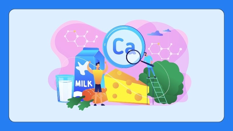 Một chế độ ăn uống cùng tập luyện hợp lý giúp hấp thu canxi tốt