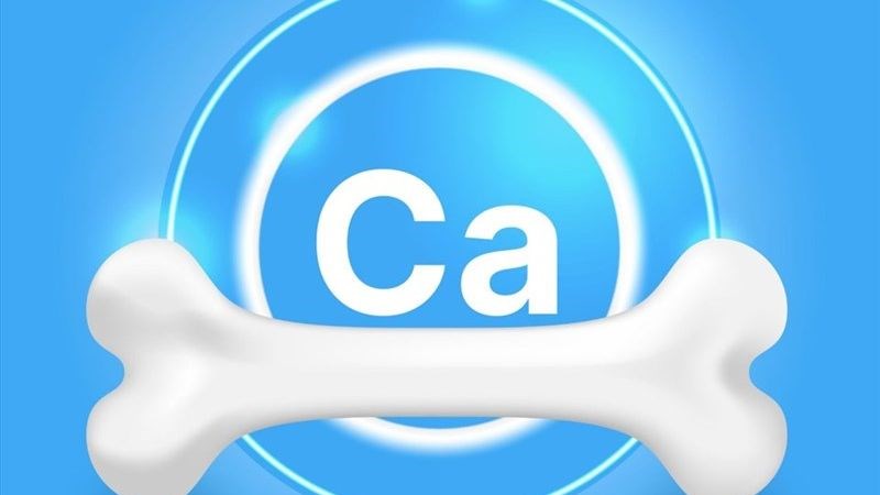 Lysine có thể tăng cường hấp thụ canxi trong ruột non