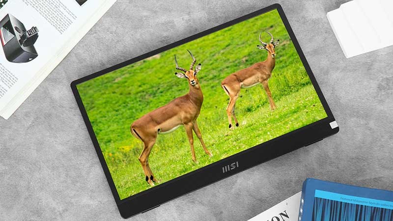 Màn hình di động MSI Pro MP161 15.6 inch FHD mang đến trải nghiệm hình ảnh rõ nét và mượt mà nhất Màn hình di động MSI Pro MP161 15.6 inch FHD mang đến trải nghiệm hình ảnh rõ nét và mượt mà nhất