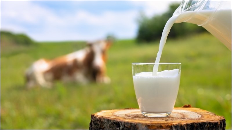Đường lactose có trong sữa dễ hấp thu và tốt cho sức khỏe Đường lactose có trong sữa dễ hấp thu và tốt cho sức khỏe
