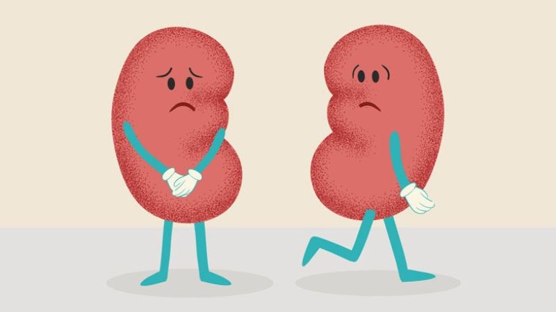 Chế độ ăn nhiều đường có thể gây ra các bệnh của thận