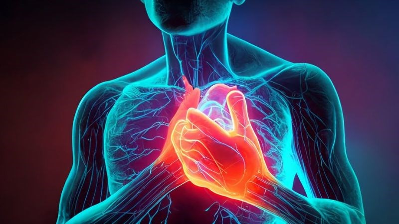 Bạn có thể gặp các bệnh lý tim mạch nếu thường xuyên ăn quá nhiều đường
