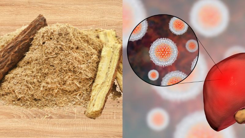 Glycyrrhizin có hoạt tính kháng khuẩn mạnh, ức chế quá trình sao chép của virus viêm gan C