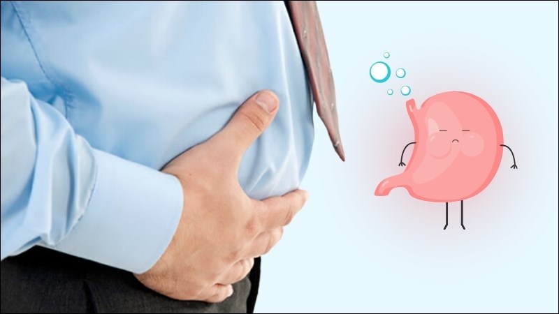 Bồ công anh giúp đẩy nhanh quá trình làm rỗng dạ dày