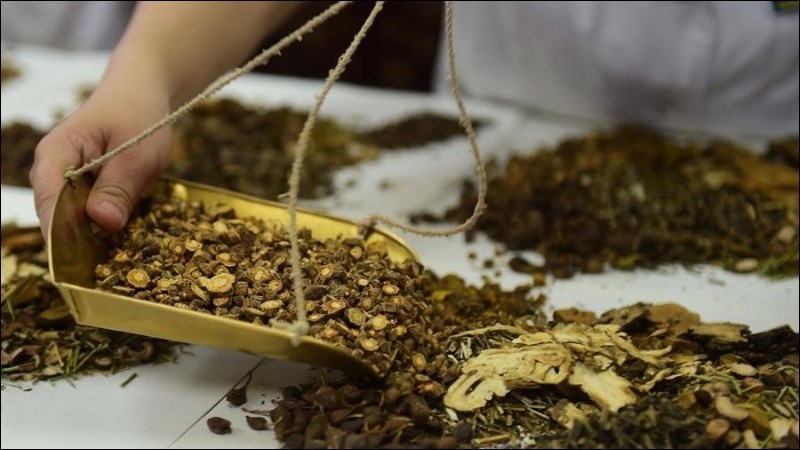 Cây bồ công anh được dùng phổ biến trong y học cổ truyền giúp trị bệnh dạ dày