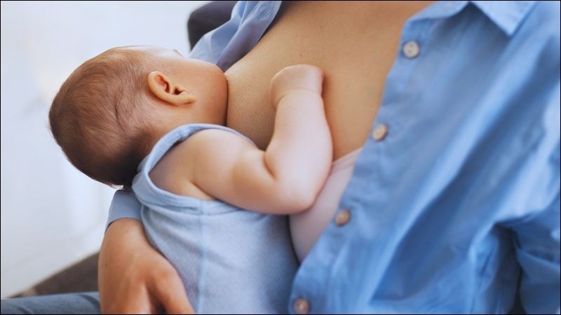 Kế sữa thúc đẩy sản xuất sữa mẹ bằng cách tạo ra nhiều hormone sản xuất sữa prolactin