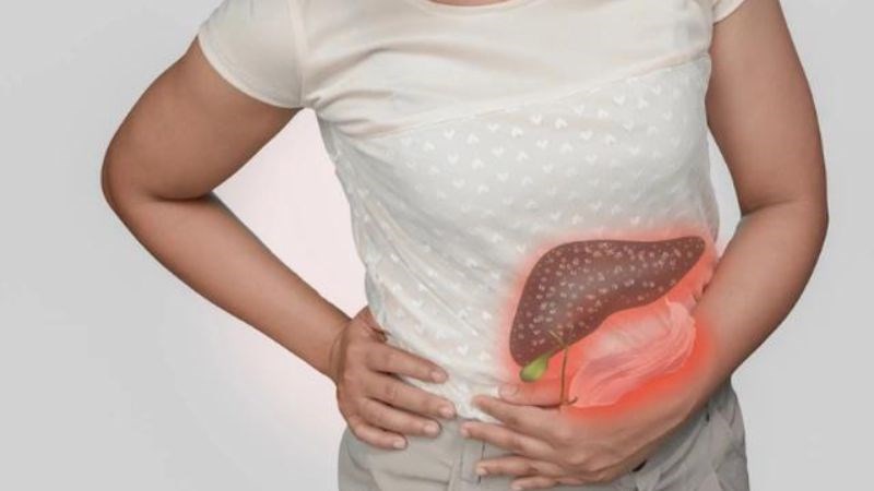 Cây kế sữa giúp giảm tổn thương gan và cải thiện chức năng gan