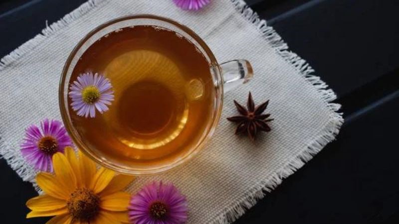 Lá kế sữa có thể đun lấy nước uống