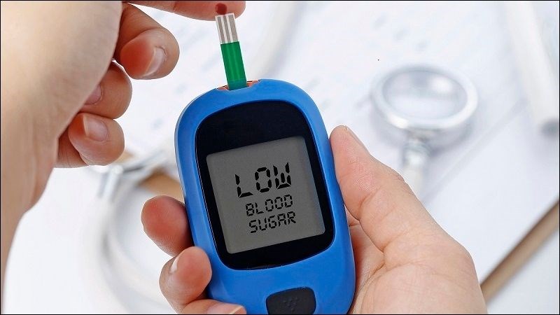 Cây kế sữa có thể giảm lượng đường trong máu ở người mắc tiểu đường loại 2