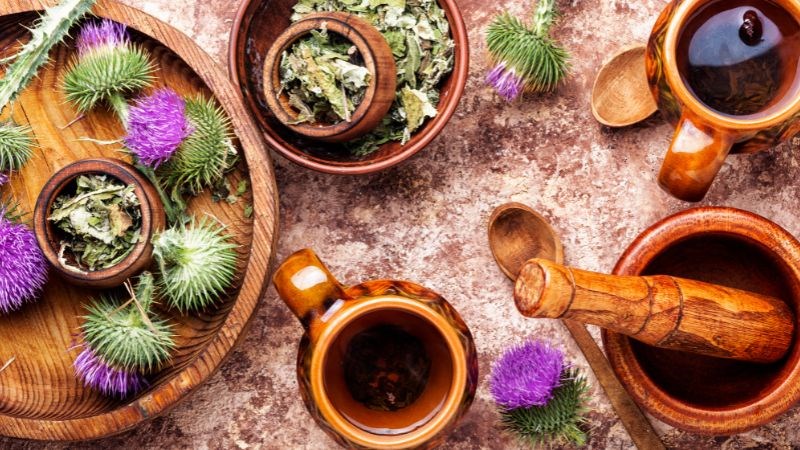 Cây kế sữa còn được gọi với các tên gọi khác như cây cúc gai hay là cây nhũ kế