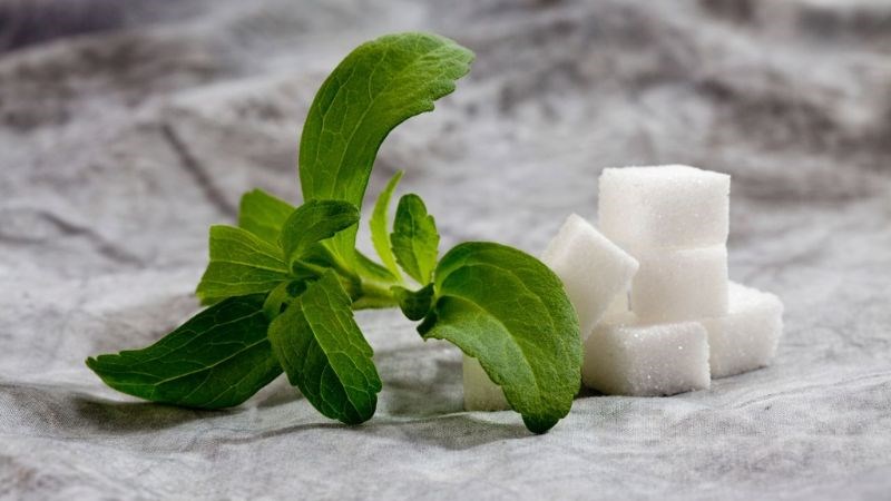Đường ăn kiêng stevia có nguồn gốc từ thực vật