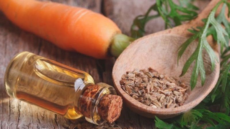 Dưỡng chất trong dầu cà rốt cần thiết cho sức khỏe của tóc