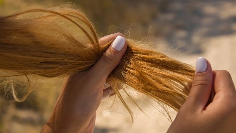 Vitamin và chất chống oxy hóa trong dầu cà rốt giúp ngăn ngừa tóc gãy rụng