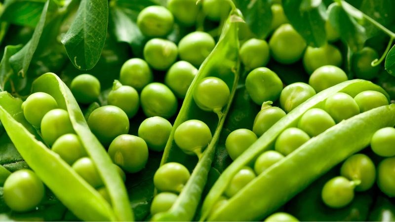 Một chén đậu lăng nấu chín cung cấp khoảng 6mcg selen