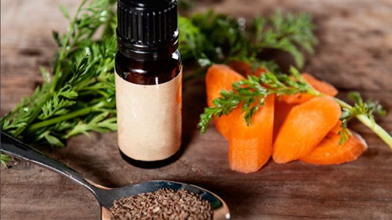 Tinh dầu hạt cà rốt được chiết xuất từ hạt của cây Daucus carota