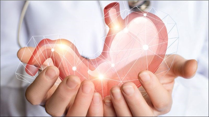 Alpha-pinene trong tinh dầu hạt cà rốt có thể ức chế các tổn thương và bảo vệ dạ dày
