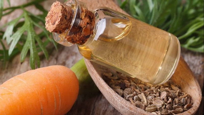 Tinh dầu hạt cà rốt được cho là có đặc tính chống viêm