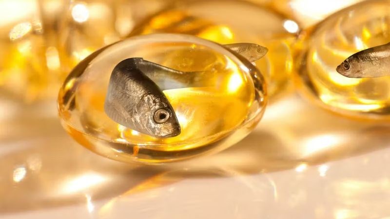 Dầu cá được chiết từ mô của các loài cá giàu axit béo omega 3 Dầu cá được chiết từ mô của các loài cá giàu axit béo omega 3