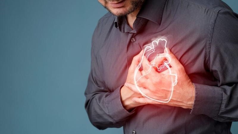 Hàm lượng chất xơ hòa tan, SDG và Ala giúp giảm nguy cơ bệnh tim