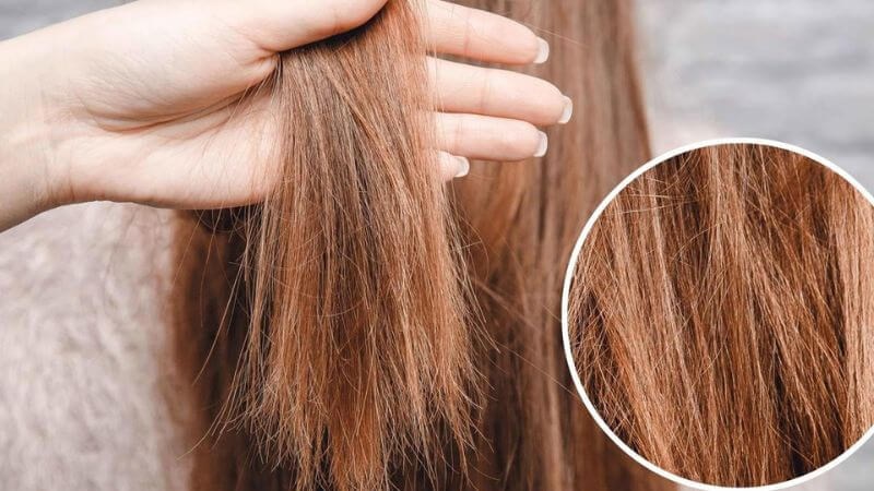 Dầu hạt lanh giúp giữ ẩm và nuôi dưỡng tóc từ gốc đến ngọn, ngăn chặn tình trạng tóc chẻ ngọn