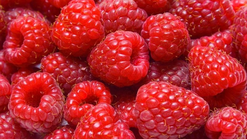 100 gram quả mâm xôi có tới 4 mmol chất chống oxy hóa