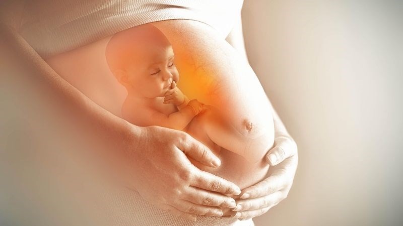 Lượng thủy ngân trong tảo xoắn có thể làm ảnh hưởng đến quá trình phát triển của thai