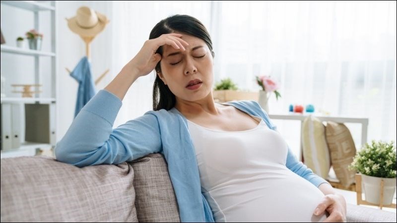 Bà bầu sử dụng spirulina có thể giảm tình trạng thiếu máu, mệt mỏi