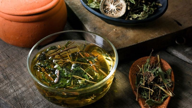 Uống nước cỏ ngọt rất tốt cho sức khỏe