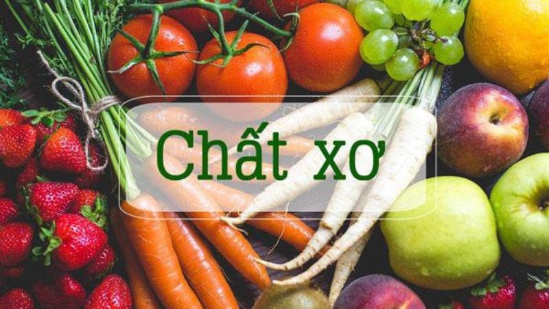 Chất xơ hòa tan đóng vai trò quan trọng trong quá trình trao đổi chất của cơ thể con người