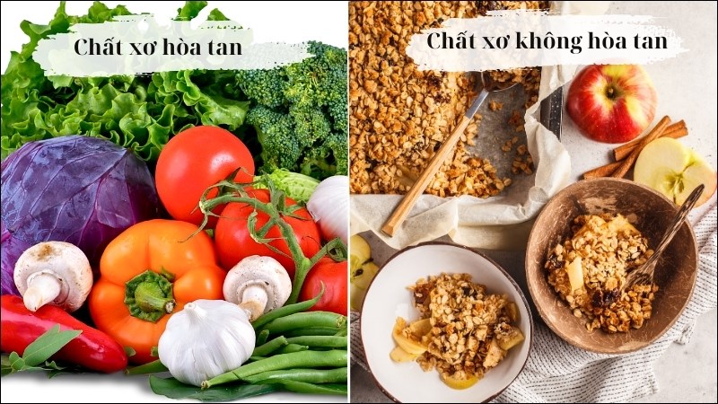 Chất xơ trong các loại thực phẩm bao gồm 2 loại chính