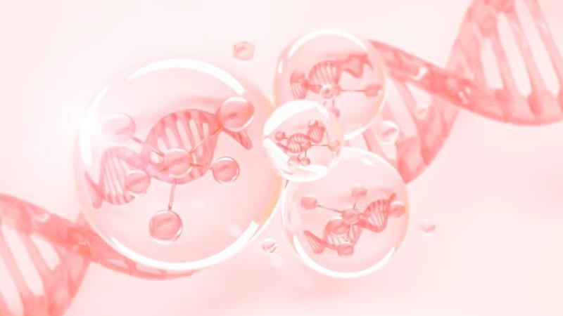 Silicon trong cỏ đuôi ngựa có thể giúp tăng cường sinh tổng hợp collagen