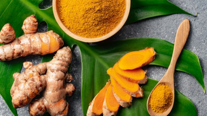 Phần thân rễ của nghệ được thu hoạch để lấy làm thuốc